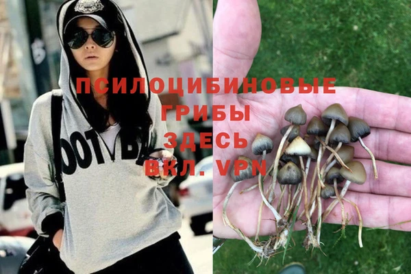 соль курить ск Гусь-Хрустальный