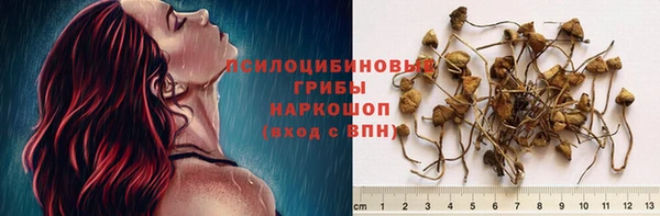 мдма Гусиноозёрск