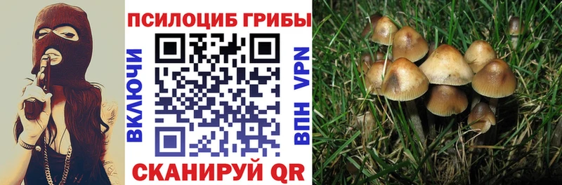 kraken зеркало  Завитинск  Галлюциногенные грибы ЛСД 